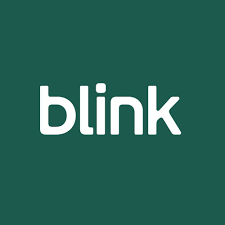 Blink Smart Security cameras - Paradise Home Tech